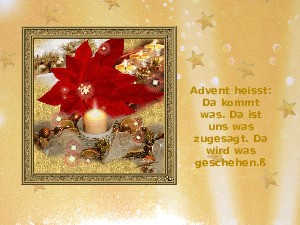 das kleine Adventstrchen - 1. Tag