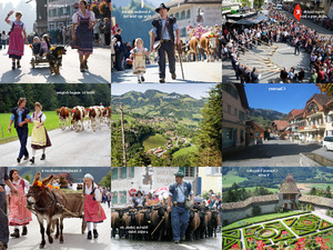 klicke hier, um die Datei herunterzuladen Schweiz 2