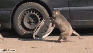 1368133928 2228 FT45207 gifs 14