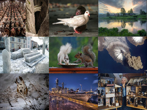klicke hier, um die Datei herunterzuladen beautiful pictures with music