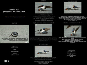 klicke hier, um die Datei herunterzuladen Birds German NNC