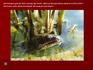 klicke hier, um die Datei herunterzuladen der Froschkönig
