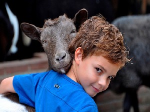 Freundschaften zwischen Mensch und Tier