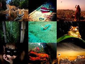 klicke hier, um die Datei herunterzuladen national geographic-28-03-2012