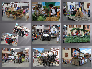 klicke hier, um die Datei herunterzuladen Kraut-Festival in Alsace
