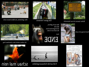 klicke hier, um die Datei herunterzuladen nur Bilder46