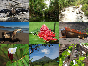 klicke hier, um die Datei herunterzuladen Costa Rica 1