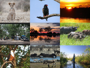 klicke hier, um die Datei herunterzuladen Botswana 3