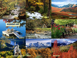 klicke hier, um die Datei herunterzuladen Natur - Herbstbilder - In mir klingt ein Lied