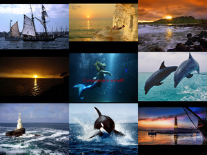 klicke hier, um die Datei herunterzuladen marineimpressions2