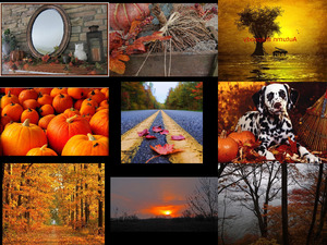 klicke hier, um die Datei herunterzuladen autumn rhapsody