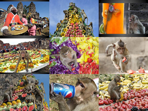 klicke hier, um die Datei herunterzuladen monkeybuffetfestival
