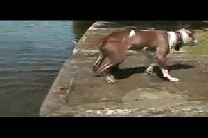 dann muss ich halt noch mal ins Wasser