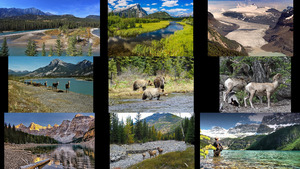 Banff-2.ppsx auf www.funpot.net