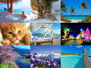 klicke hier, um die Datei herunterzuladen Beautiful Pictures - schöne Bilder