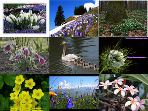 klicke hier, um die Datei herunterzuladen SPRING