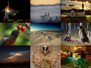 klicke hier, um die Datei herunterzuladen Beautiful Pictures - 2- music Hollies - created by Consul