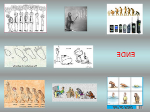klicke hier, um die Datei herunterzuladen Evolution