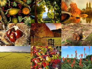 klicke hier, um die Datei herunterzuladen Wunderschoene Herbstzeit
