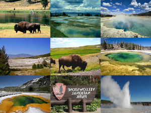 Nationalpark Yellowstone