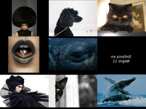 Sinfonia-en-Negro 11