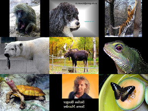 Bilder-Galerie vom 28042014 Tiere