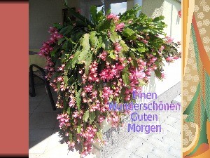 klicke hier, um die Datei herunterzuladen Einen Wunderschoenen Guten Morgen