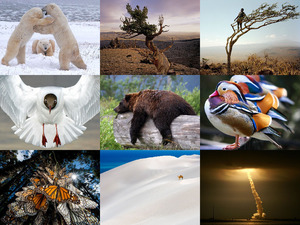klicke hier, um die Datei herunterzuladen National Geographic Photos