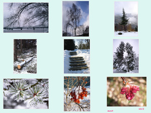 Winterbilder