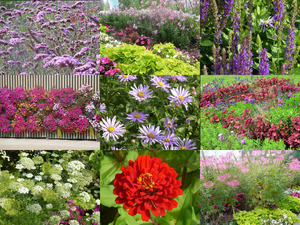 Eindrcke von der Internationale Gartenschau (igs) Hamburg