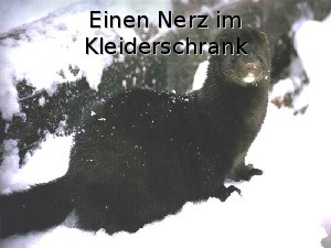 klicke hier, um die Datei herunterzuladen Frauenglue