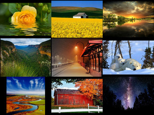 picture mixture 7