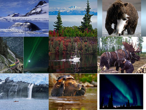 klicke hier, um die Datei herunterzuladen Alaska