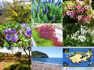 klicke hier, um die Datei herunterzuladen Madeira - 2 Teil-D