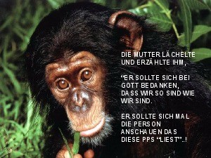 klicke hier, um die Datei herunterzuladen Warum sind wir so wie wir sind?