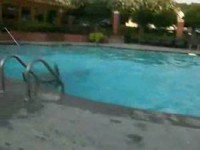 jumping in pool