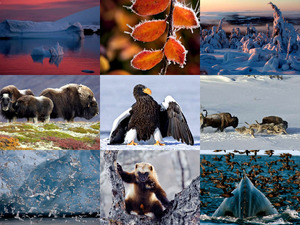 klicke hier, um die Datei herunterzuladen frozenplanet