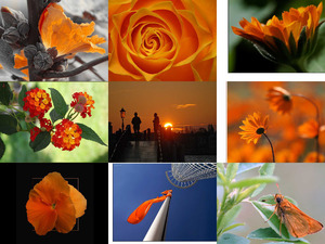 klicke hier, um die Datei herunterzuladen Orange 68