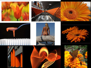 klicke hier, um die Datei herunterzuladen Orange 43
