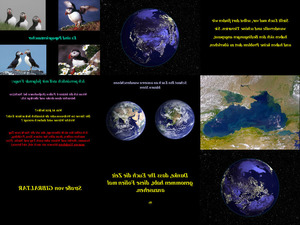klicke hier, um die Datei herunterzuladen Der blaue Planet-1