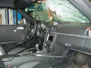 klicke hier, um die Datei herunterzuladen Ein Huhn bei Tempo 260