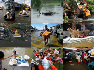 Bilder vom Hochwasser in Thailand