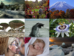 klicke hier, um die Datei herunterzuladen Beautiful Pictures - 3 - music 10cc - created by Consul