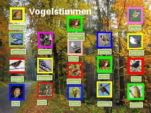 klicke hier, um die Datei herunterzuladen Vogelstimmen