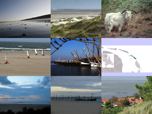 Vlieland