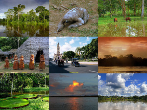 klicke hier, um die Datei herunterzuladen Amazonas