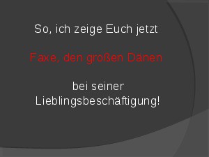 Faxe der grosse Daene