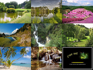 klicke hier, um die Datei herunterzuladen Natur pur - Nr 20
