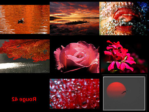 Rouge 42