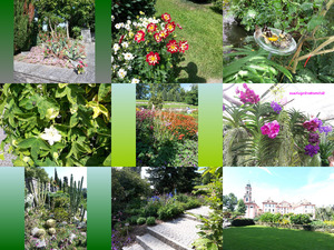 klicke hier, um die Datei herunterzuladen Bilder von der Insel Mainau Anfang Septemper 2010